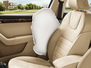 2013������� ���g����