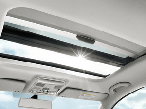 2013������� ���g����