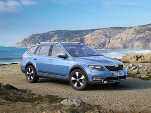 2014��Scout ���w���^