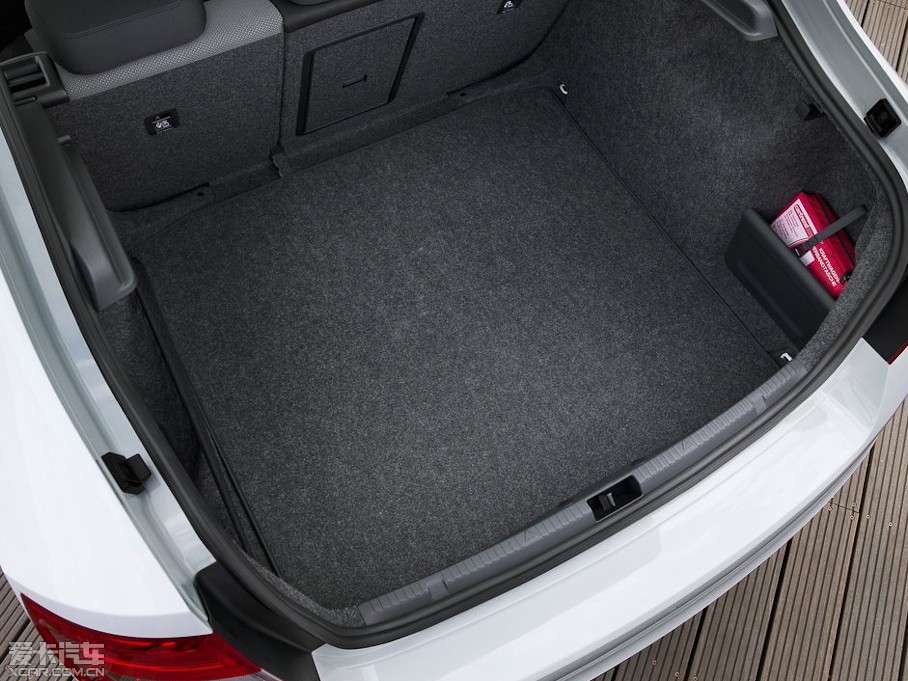 2013��Rapid TDI ������