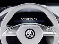 Vision S
