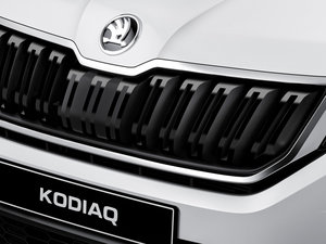 2016������� �������^