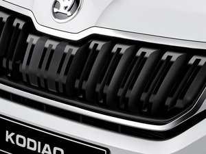 2016������� �������^