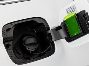 2016������� �������^