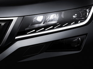 2016������� �������^