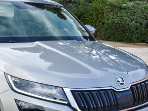 2016������� �������^