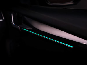 2017������� ���g����