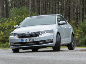 2017���������� ���w���^