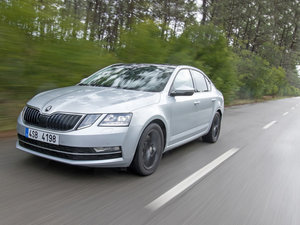 2017���������� ���w���^