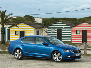 2017���������� ���w���^