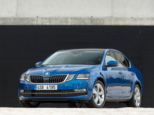 2017���������� ���w���^