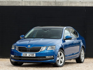 2017���������� ���w���^