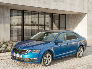 2017���������� ���w���^