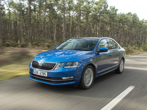 2017���������� ���w���^