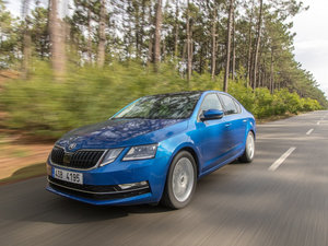 2017���������� ���w���^