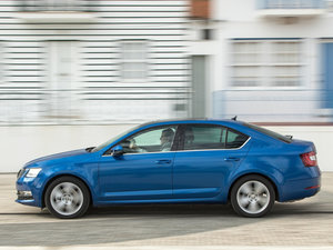 2017���������� ���w���^