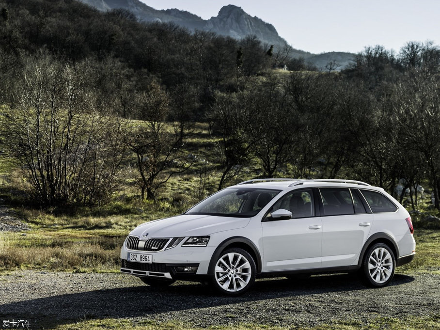 2017�����J(����) Scout