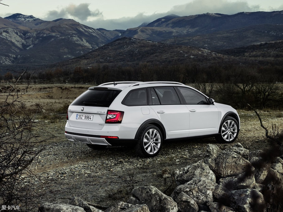 2017�����J(����) Scout