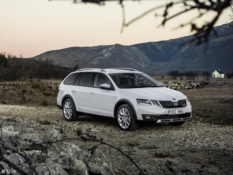 2017�����J(����) Scout