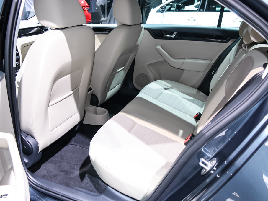 2017��Rapid ������