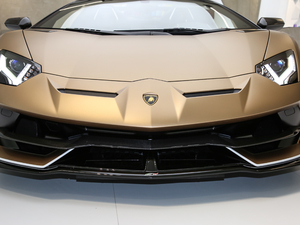 2019款SVJ Roadster 中网