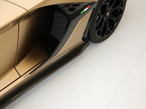 2019SVJ Roadster (x)(ji)^