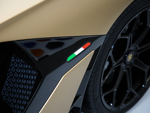 2019SVJ Roadster (x)(ji)^