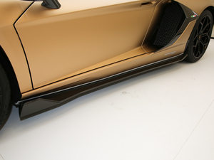 2019SVJ Roadster (x)(ji)^