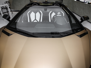 2019SVJ Roadster (x)(ji)^