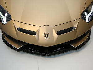 2019SVJ Roadster (x)(ji)^