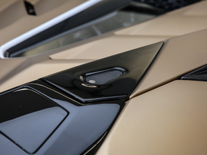 2019SVJ Roadster (x)(ji)^