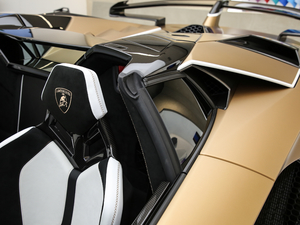 2019SVJ Roadster (x)(ji)^