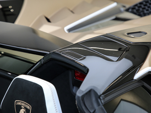 2019SVJ Roadster (x)(ji)^