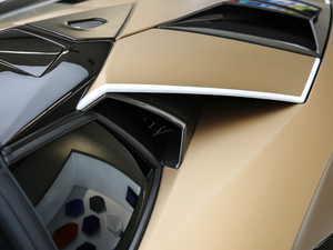 2019SVJ Roadster (x)(ji)^