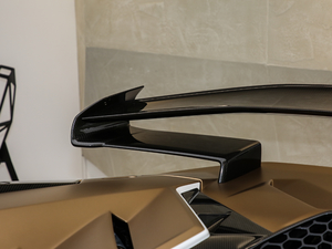 2019SVJ Roadster (x)(ji)^