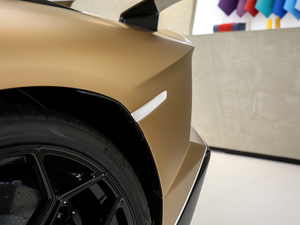 2019SVJ Roadster (x)(ji)^