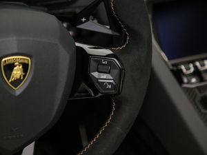 2019SVJ Roadster п؅^(q)