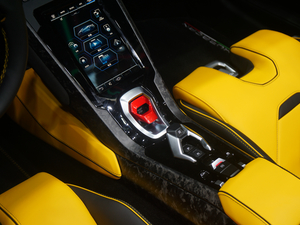 2020EVO RWD Spyder п؅^(q)