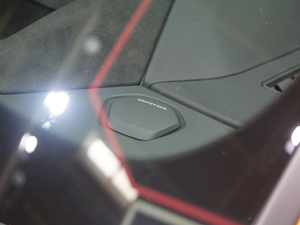 2021Pearl Capsule п؅^(q)