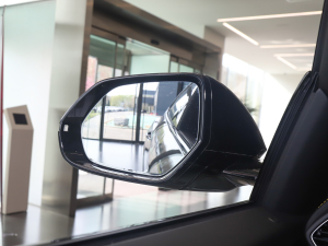 20214.0T V8 (x)(ji)^