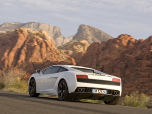 2009��Gallardo ���w���^