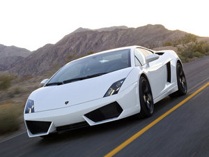 2009��Gallardo ���w���^