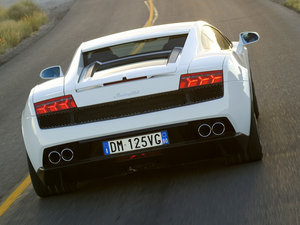 2009��Gallardo ���w���^