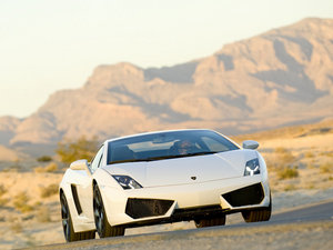 2009��Gallardo ���w���^