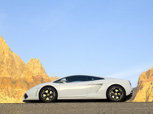 2009��Gallardo ���w���^