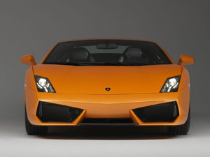 2010��Gallardo ���w���^