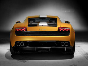 2010��Gallardo ���w���^