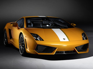2010��Gallardo ���w���^