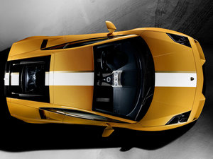 2010��Gallardo ���w���^