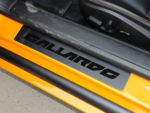 2010LP550-2 (bio)(zhn) g